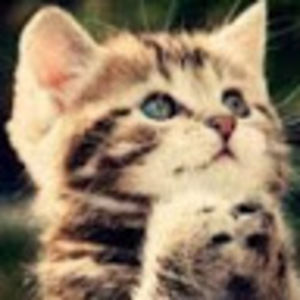 Meet your Posher, Kate